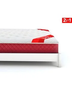 MoltySleep Executive