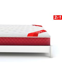 MoltySleep Executive