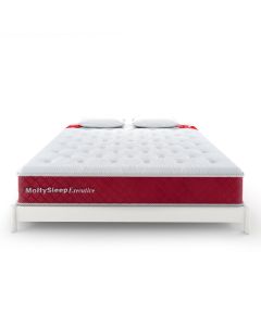 MoltySleep Executive