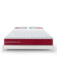 MoltySleep Executive