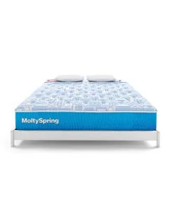 Molty Spring